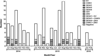 The emergence of arboviruses changes the profile of viral meningitis in Salvador, Bahia: A case series